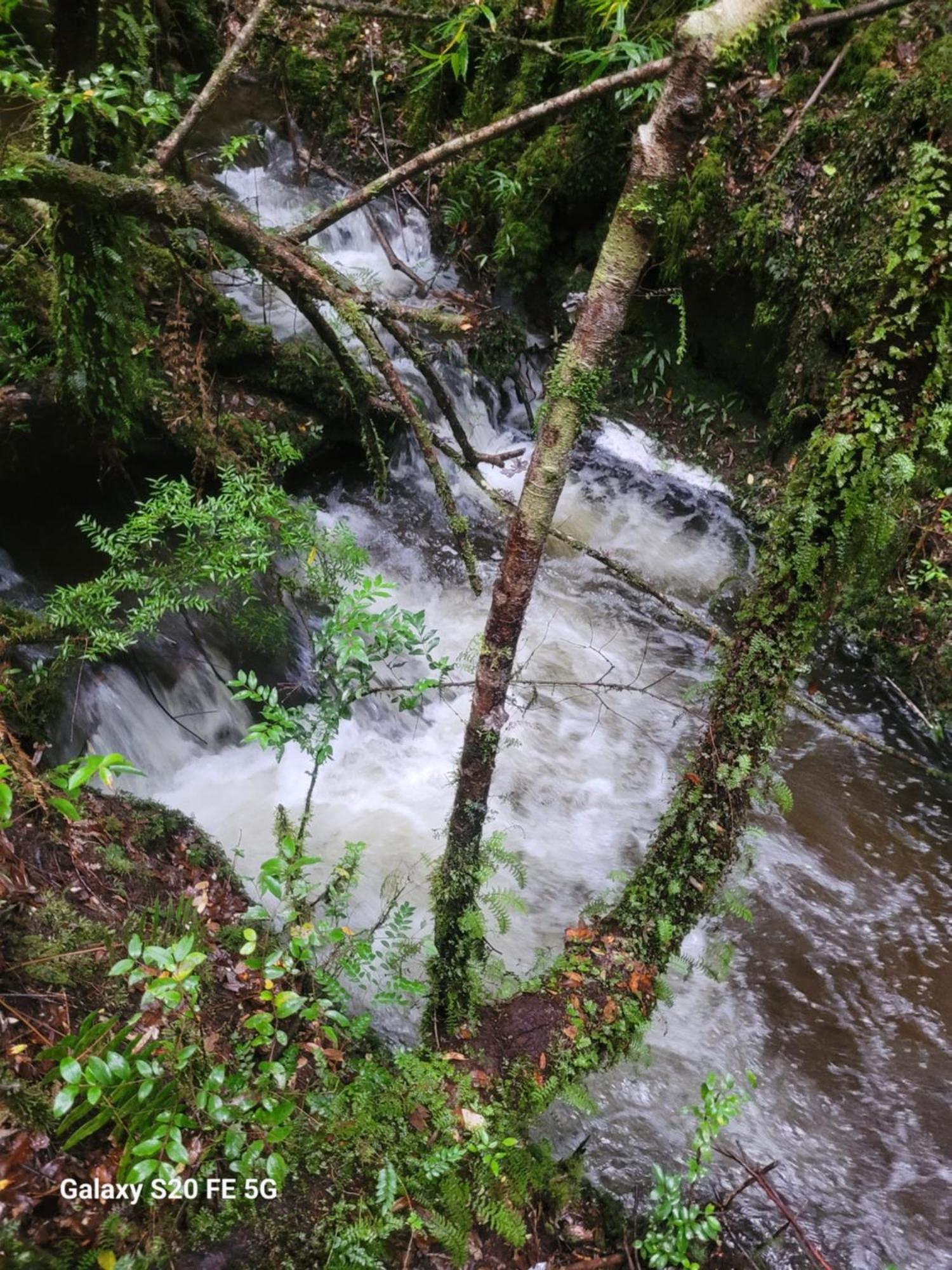 Apartamento El Farolito Puerto Montt